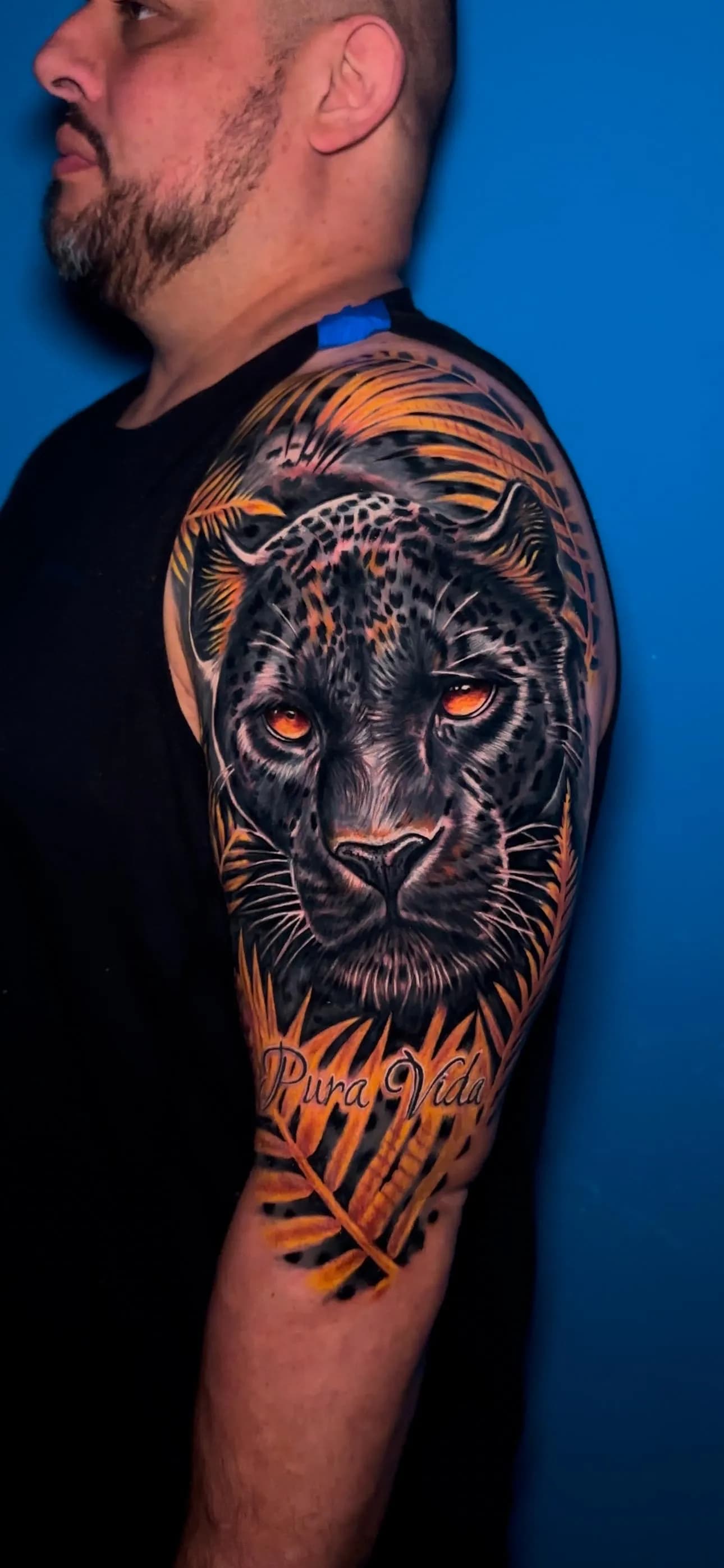 andres's work #5