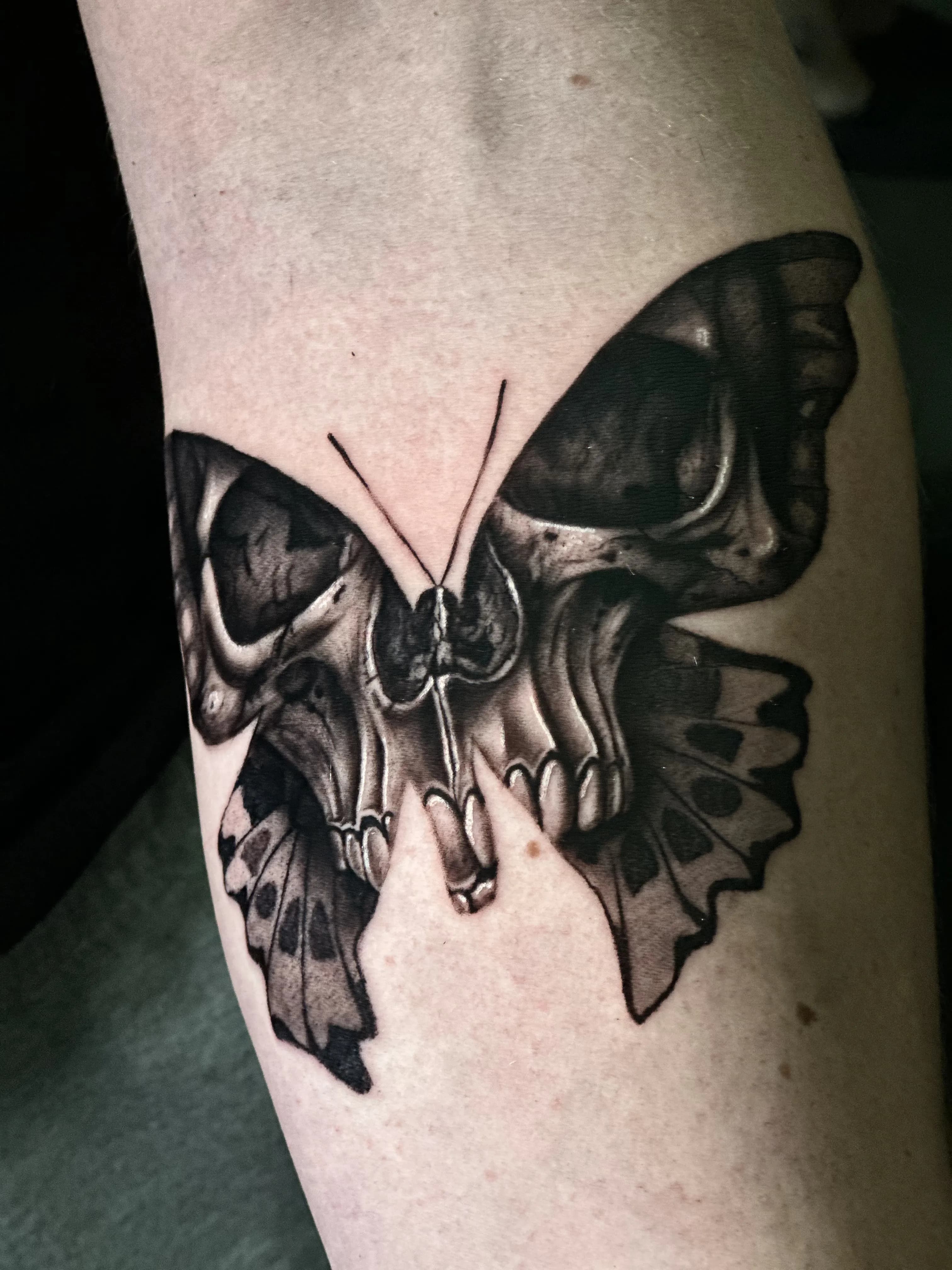 ricardo's work #3