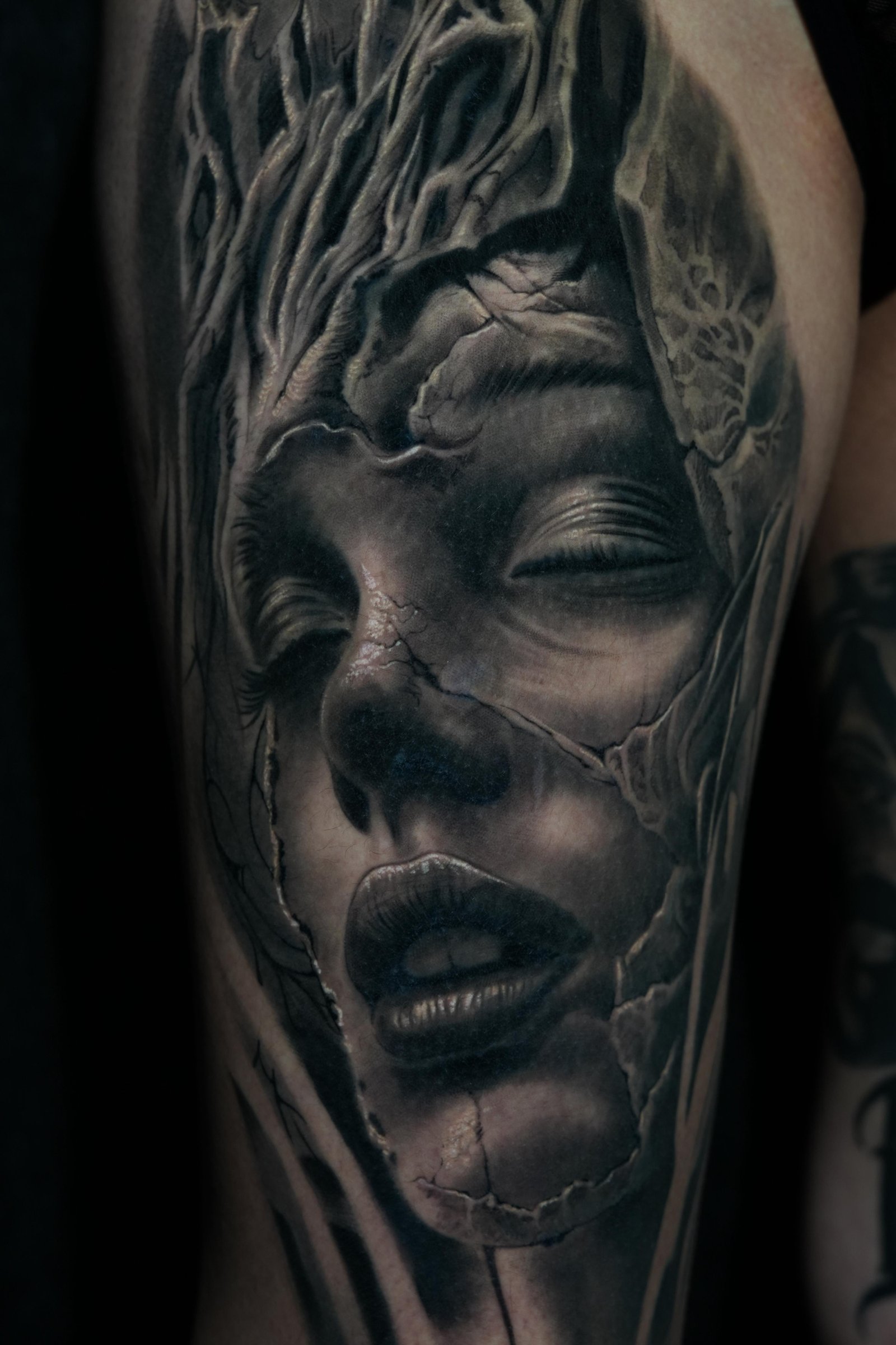 lincohn's work #6
